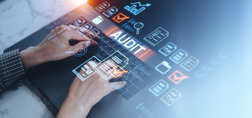 Advanced Audit Techniques