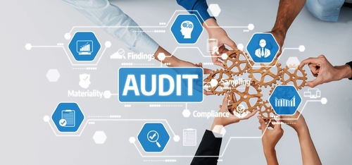 Auditing Culture - Enhancing Organizational Resilience